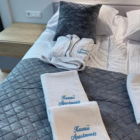 Kawaii Pool&spa Centrum Lublina * ルブリン